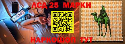 амф Сланцы
