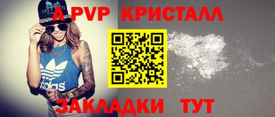 амф Сланцы