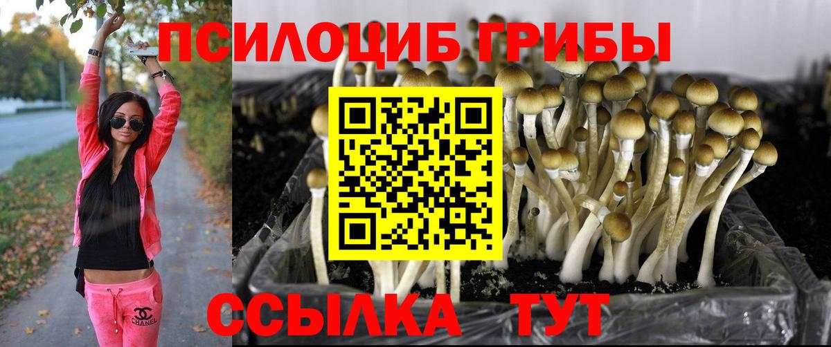 Псилоцибиновые грибы MAGIC MUSHROOMS Псков
